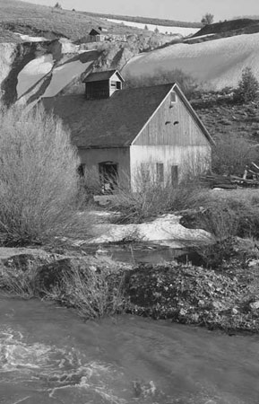 Jordan Creek near DeLamar, 1964