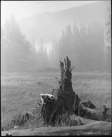 Fog, Stanley Basin, 1971